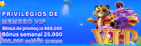 Suporte VIP 9552bet - atendimento prioritário